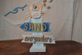Sandy Crab