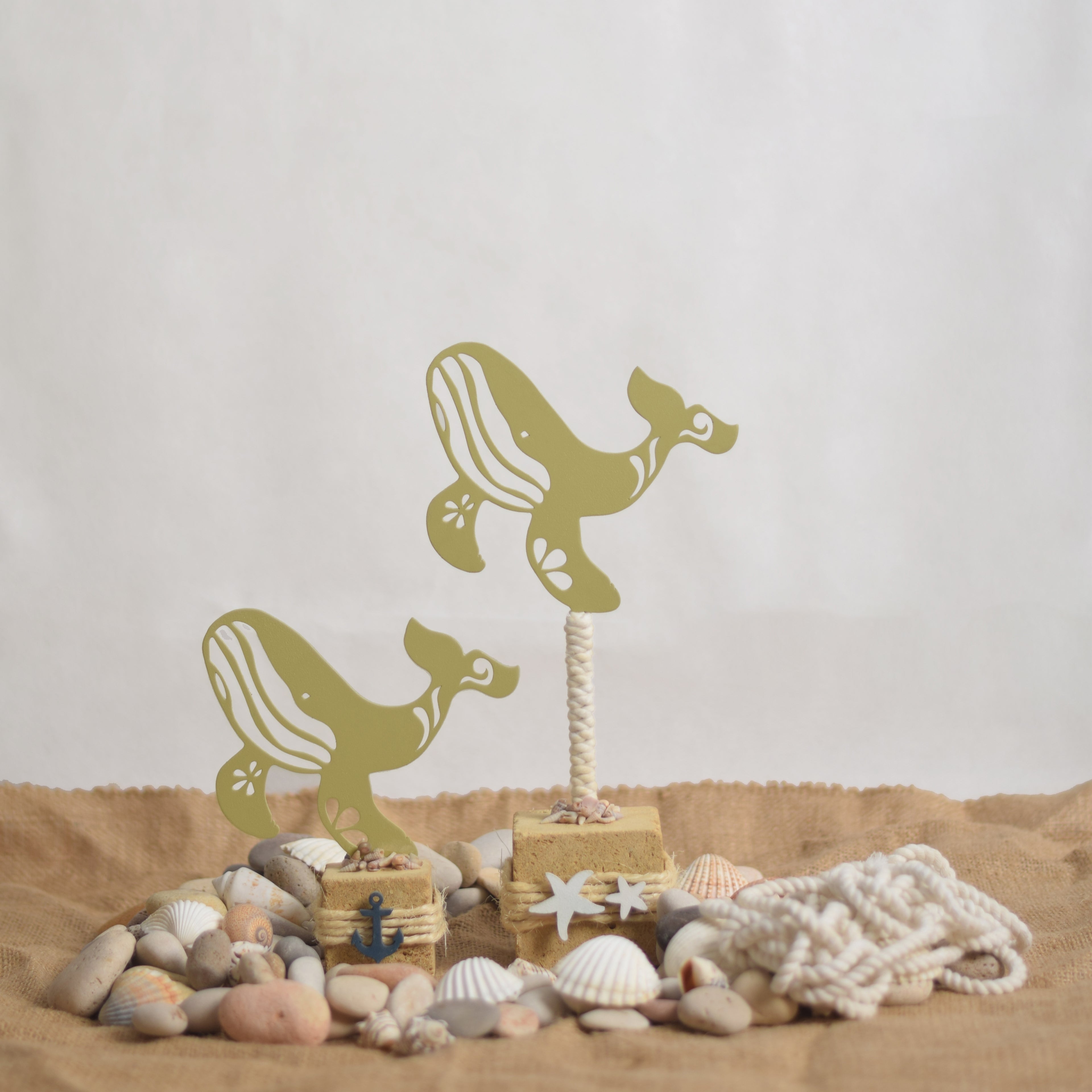 "Whale of wonder" set - Bahr
