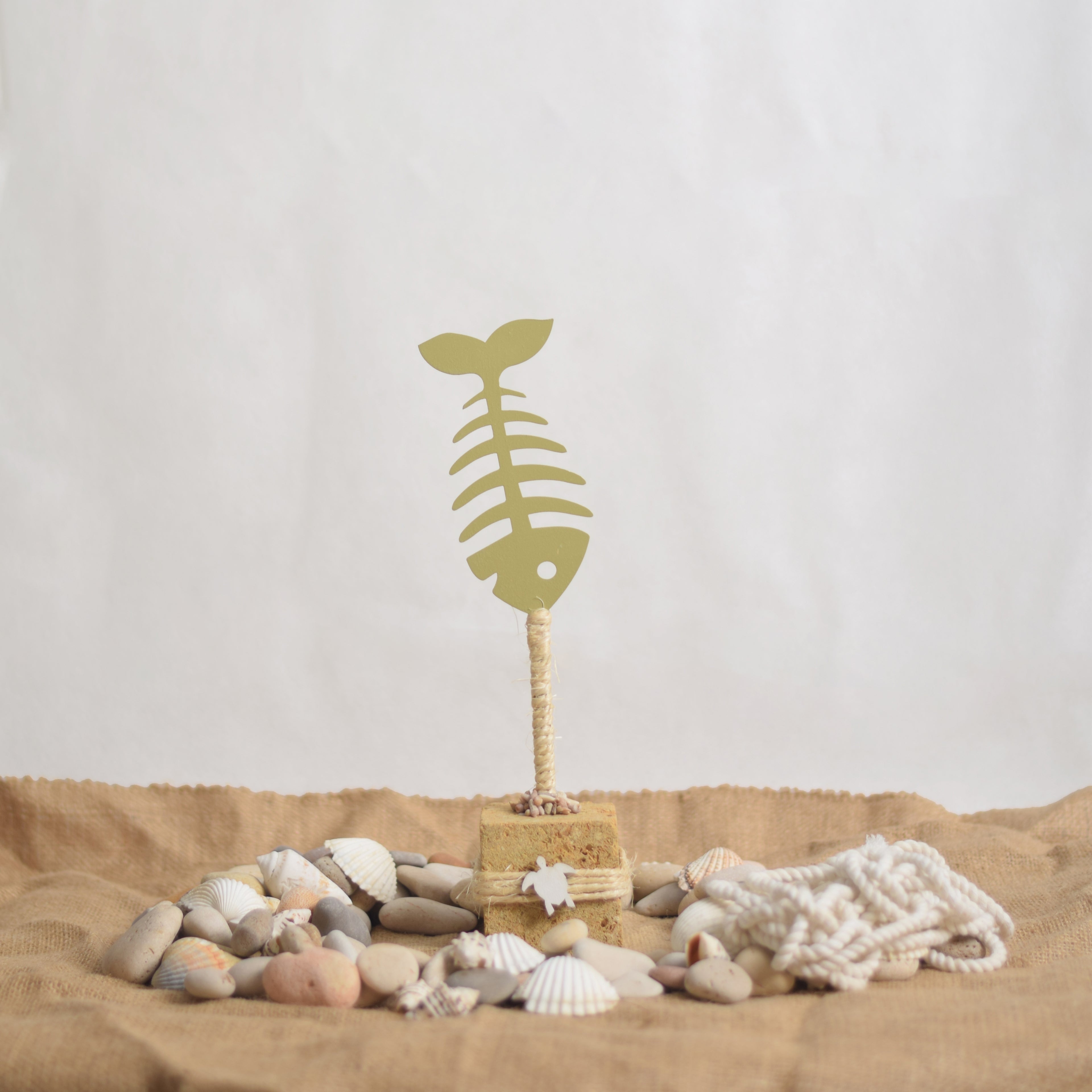 Coastal Fish Skeleton - Bahr