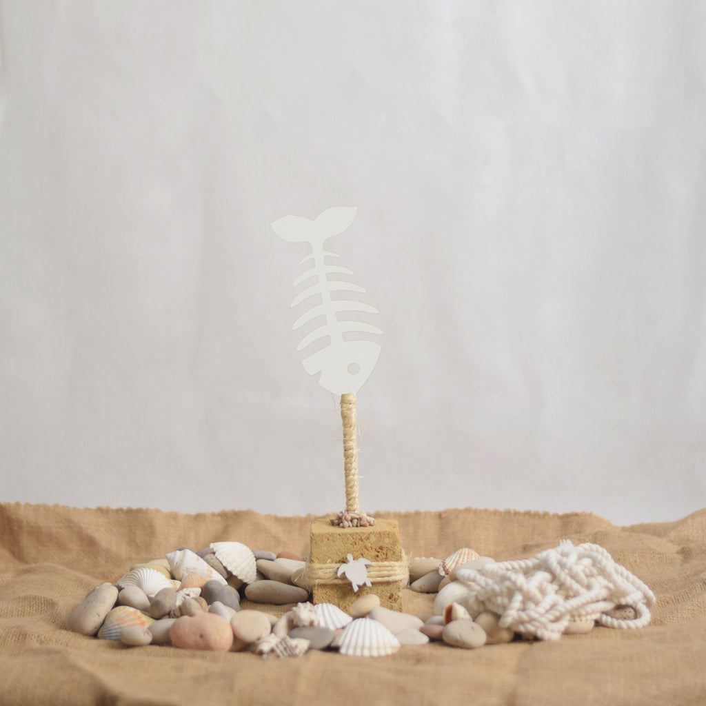 Coastal Fish Skeleton - Bahr