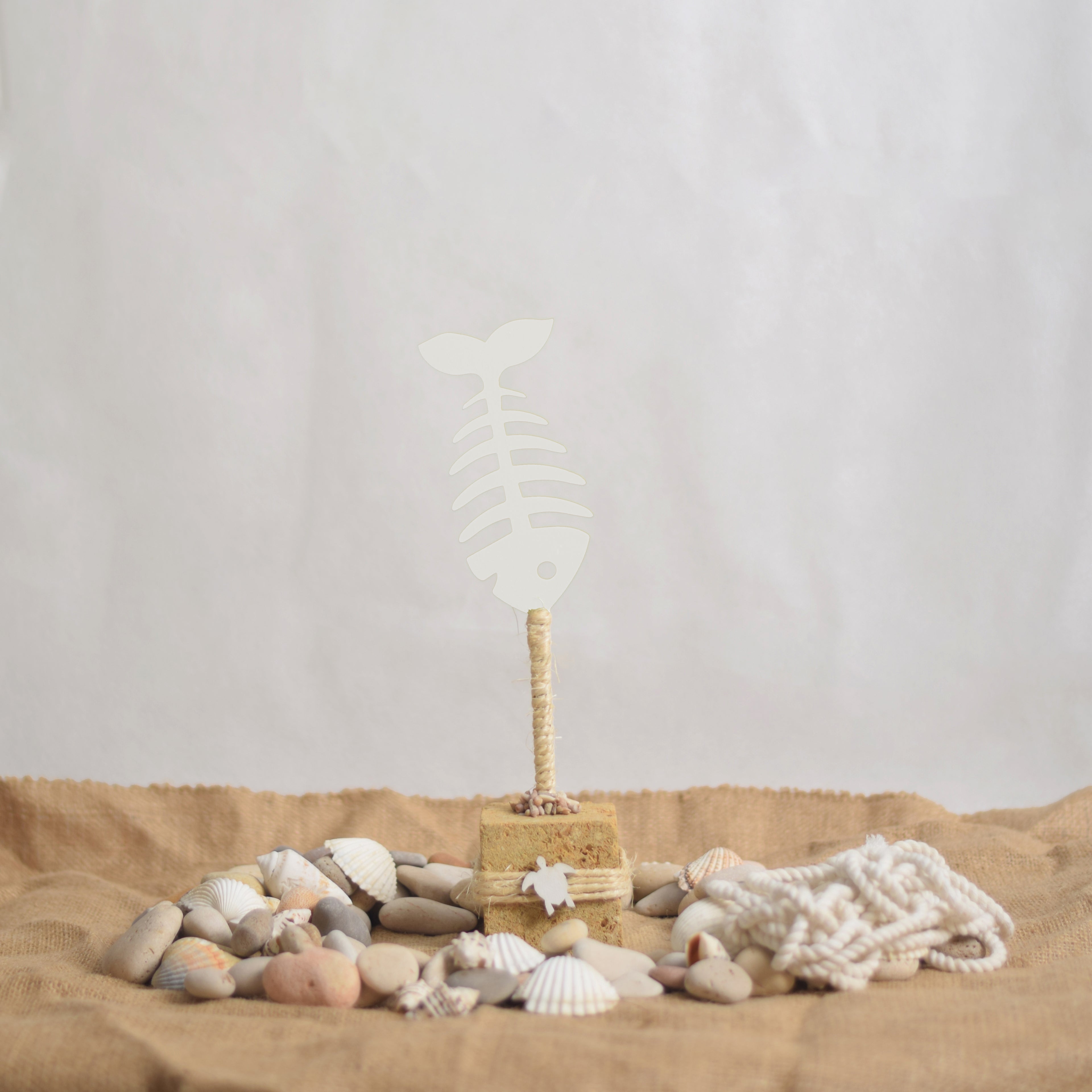 Coastal Fish Skeleton - Bahr