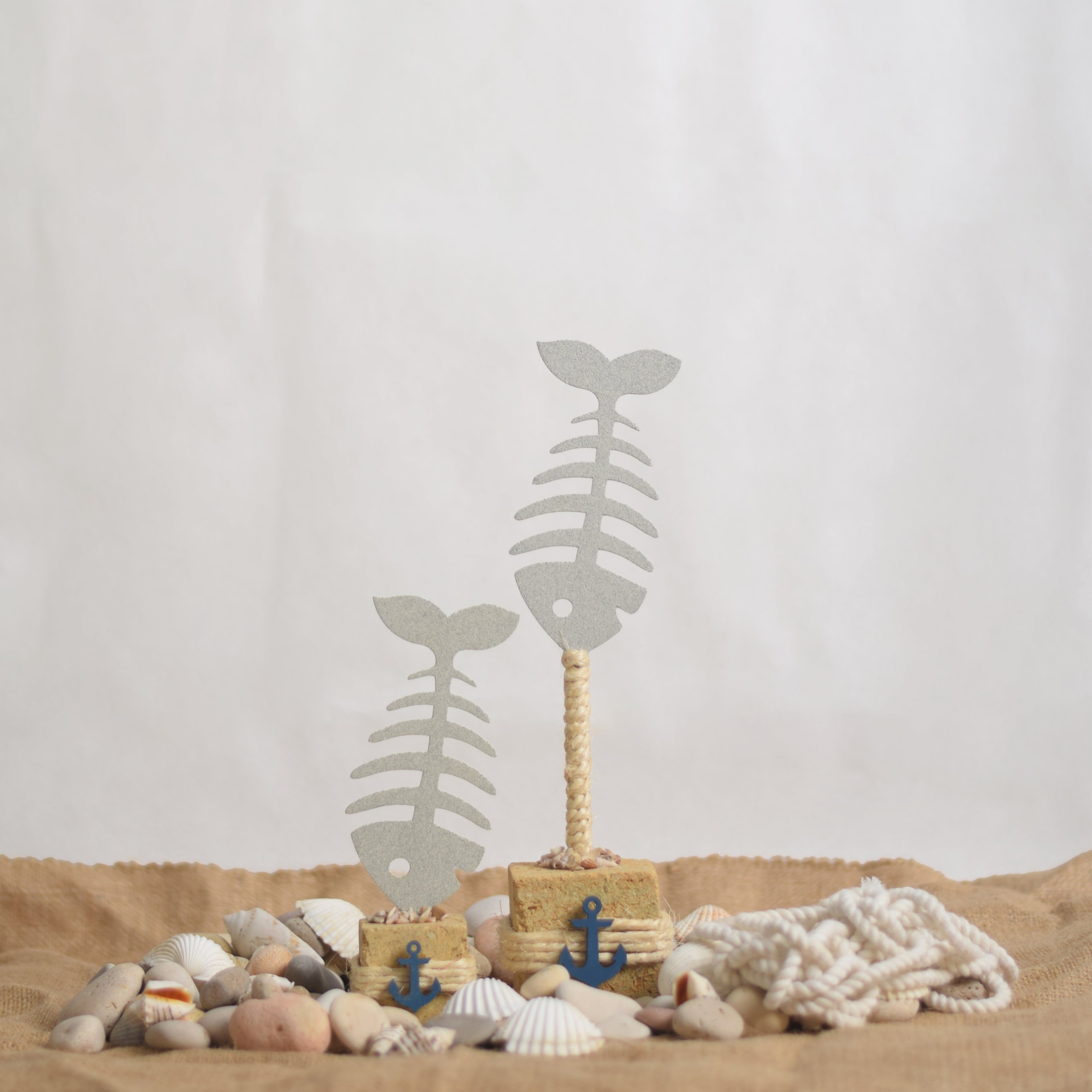 "Coastal Fish Skeleton" Set - Bahr