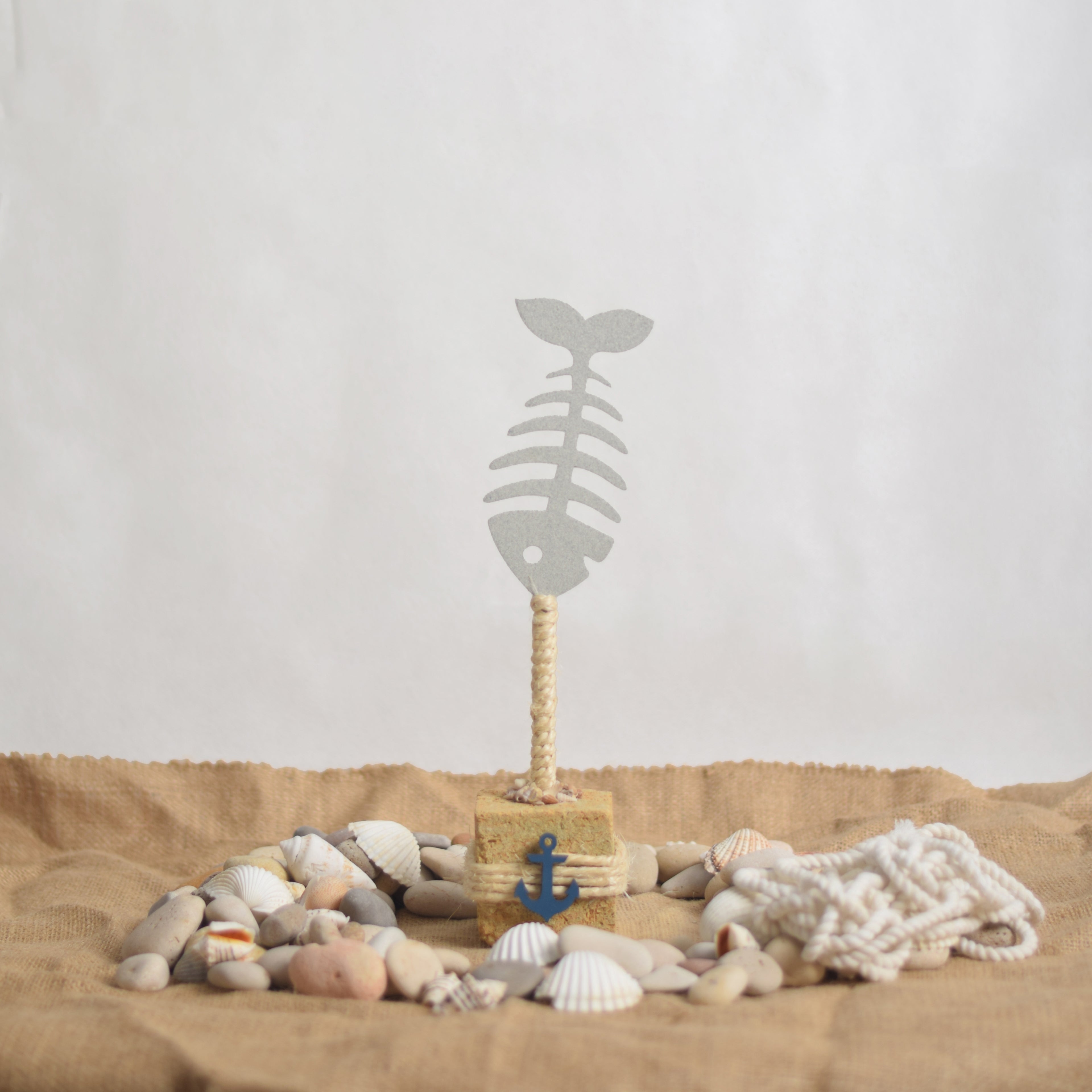 Coastal Fish Skeleton - Bahr