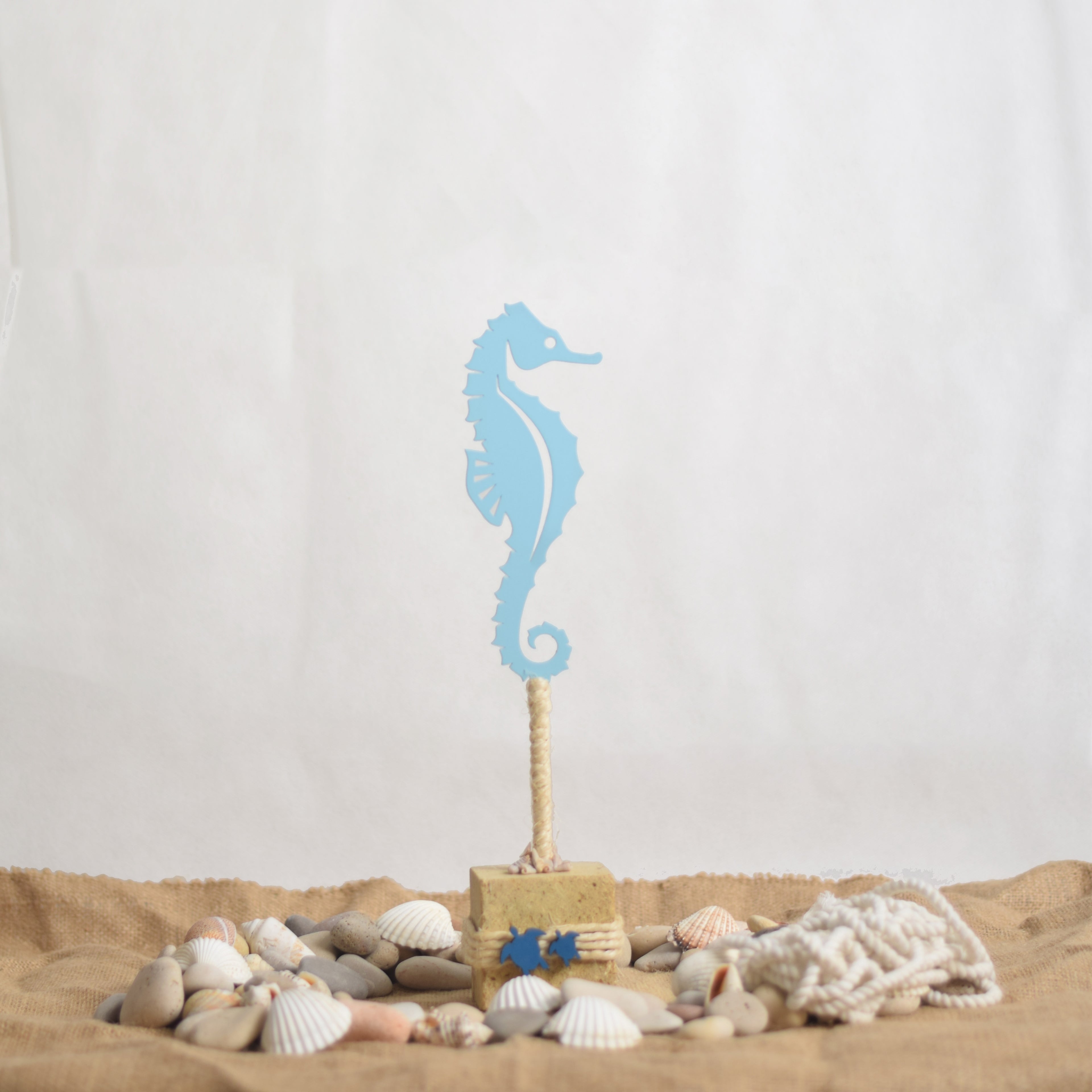 Ocean Rider - Bahr