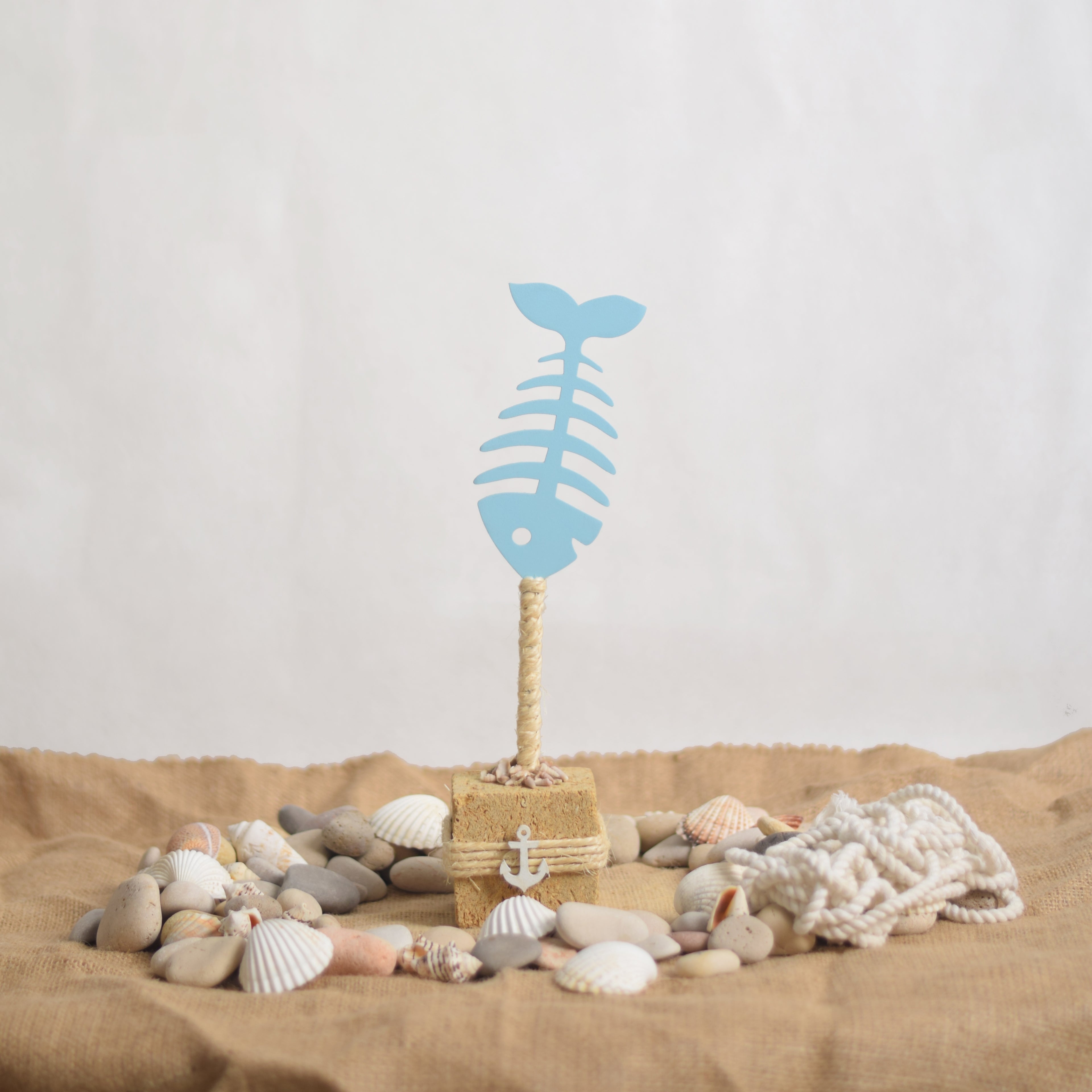 Coastal Fish Skeleton - Bahr